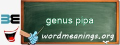 WordMeaning blackboard for genus pipa